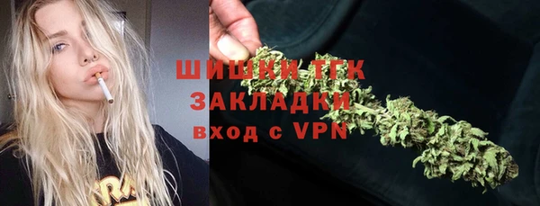 эйфоретик Арсеньев