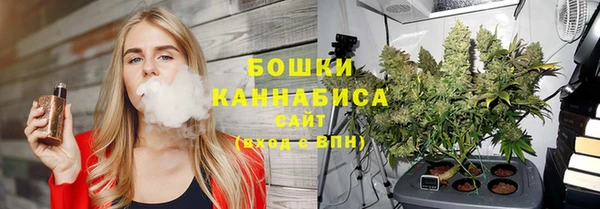 эйфоретик Арсеньев