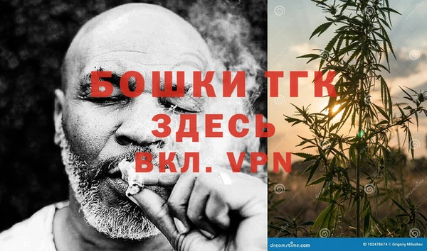 эйфоретик Арсеньев