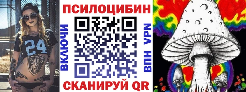 закладка  площадка наркотические препараты  Псилоцибиновые грибы GOLDEN TEACHER  Коломна 