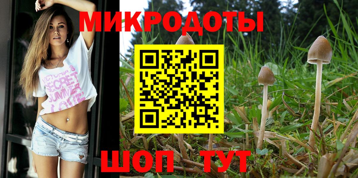 купить наркотики сайты  Галлюциногенные грибы мицелий  Коломна  Вход с VPN  Псилоцибиновые грибы ЛСД 